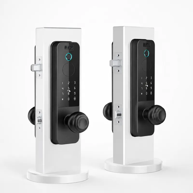Smart Door Lock Wifi - Serrure de porte en bois transfrontalière,